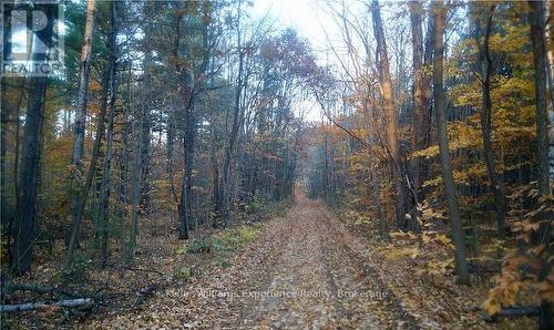 Pl 20 Concession 18 W, Tiny, ON 