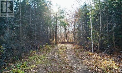 Pl 20 Concession 18 W, Tiny, ON 