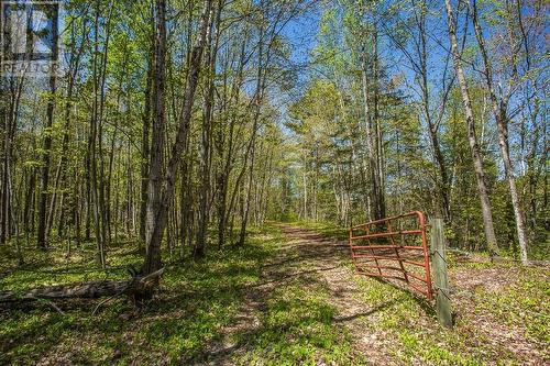 End Of Warnock Rd, Iron Bridge, ON - Outdoor With View