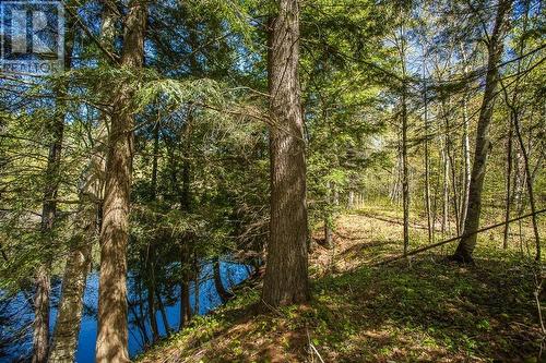 End Of Warnock Rd, Iron Bridge, ON - Outdoor With View