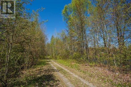 End Of Warnock Rd, Iron Bridge, ON - Outdoor With View