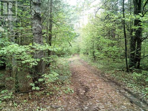 1590 YEARLEY ROAD  Huntsville (Stephenson), ON P0B 1M0