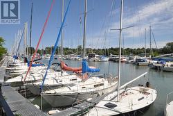 Walk to the pier and marina - 