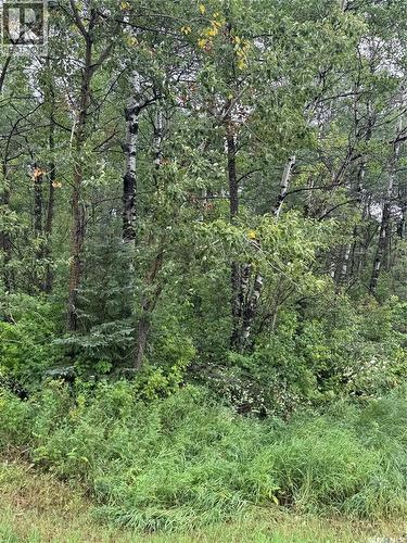 Kerlak Cabin Retreat Acres, Hudson Bay Rm No. 394, SK 