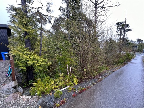 843 Lorne White Pl, Ucluelet, BC 