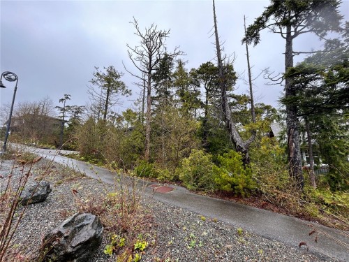 843 Lorne White Pl, Ucluelet, BC 