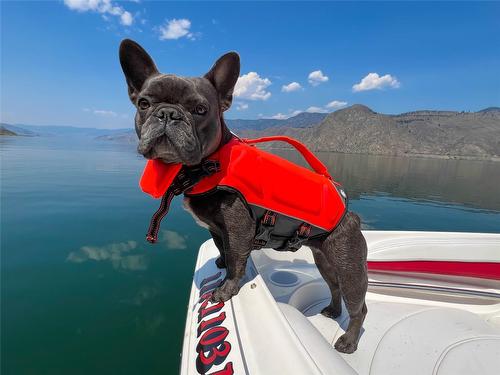 6-3672 Sabiston Creek Road, Kamloops, BC - Outdoor With Body Of Water With View