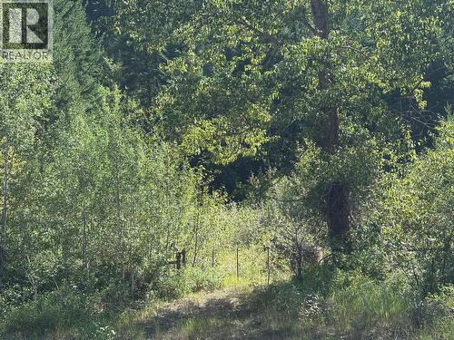 3520 33 Highway, Westbridge, BC 