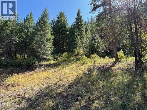 3520 33 Highway, Westbridge, BC 