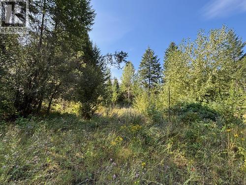 3520 33 Highway, Westbridge, BC 