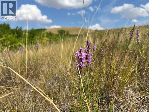 558 Daniel Drive, Dufferin Rm No. 190, SK 