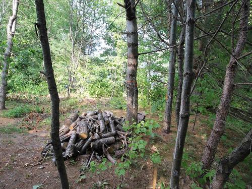 Highway 1,, Wilmot, NS 