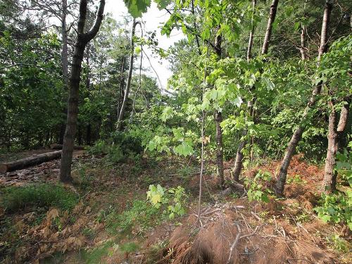 Highway 1,, Wilmot, NS 