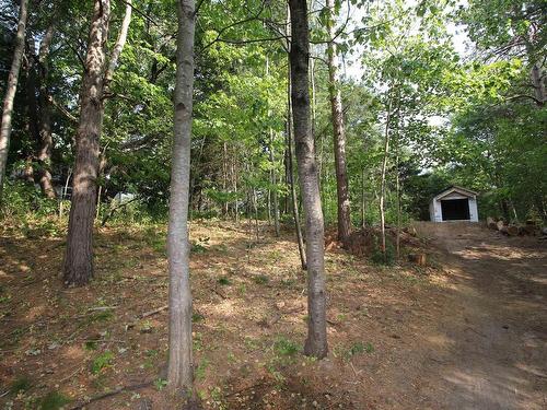 Highway 1,, Wilmot, NS 