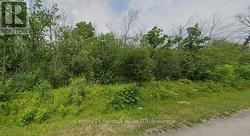 0 NIGH ROAD  Fort Erie (Ridgeway), ON L2A 5M4