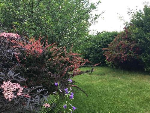 569 Francklyn Street, Halifax, NS 