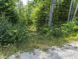 Lot 2-23 Highway 331  Mill Village, NS B0J 2H0