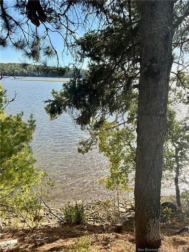 1173 Route 425, Whitney, NB 