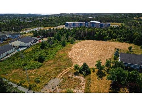 7 Watts Pond Road, Torbay, NL 