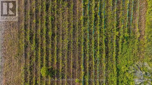 804 Closson Road, Prince Edward County (Hillier), ON 