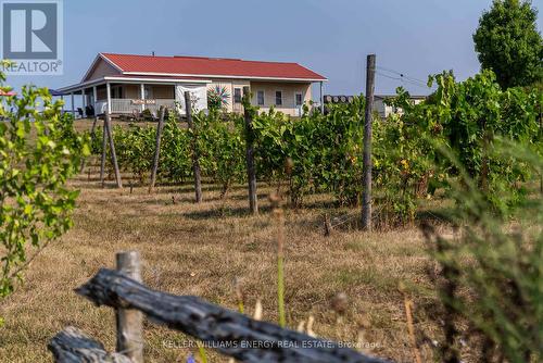 804 Closson Road, Prince Edward County (Hillier), ON 