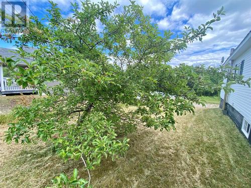 39 Station Road, Glovertown, NL - Outdoor
