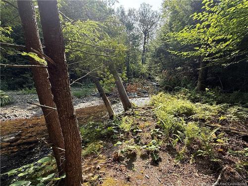 2206 Kintore Rd, Kintore, NB 