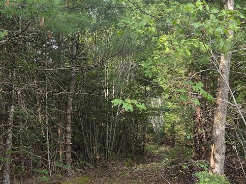 Highway 103, Sable River, NS 