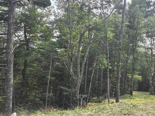 Highway 103, Sable River, NS 