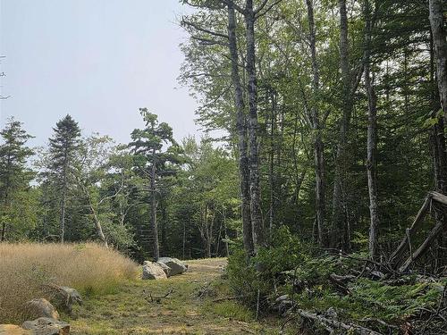 Highway 103, Sable River, NS 