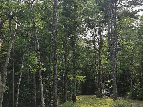 Highway 103, Sable River, NS 