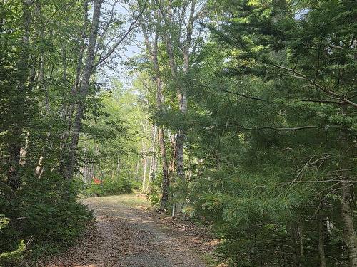 Highway 103, Sable River, NS 