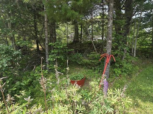 Highway 103, Sable River, NS 