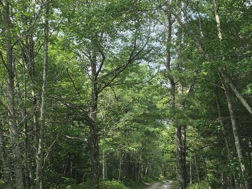 Highway 103, Sable River, NS 