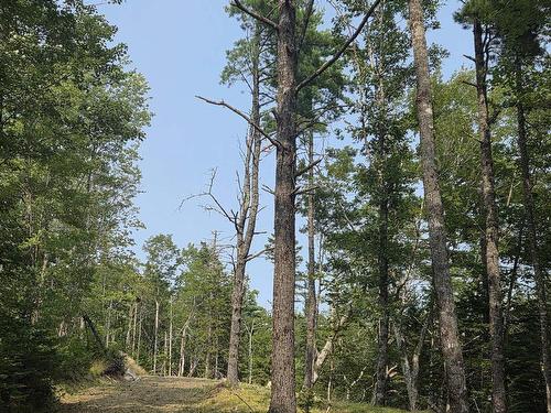 Highway 103, Sable River, NS 