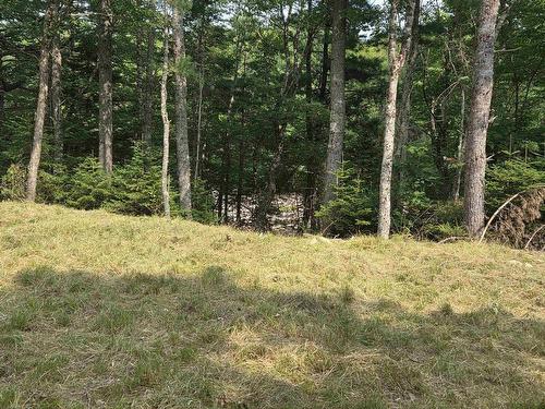 Highway 103, Sable River, NS 