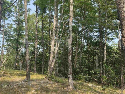 Highway 103, Sable River, NS 