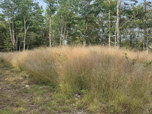 Highway 103, Sable River, NS 