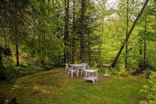 Cour - 330Z  - 330Az Rue De L'Edelweiss, Sainte-Agathe-Des-Monts, QC - Outdoor