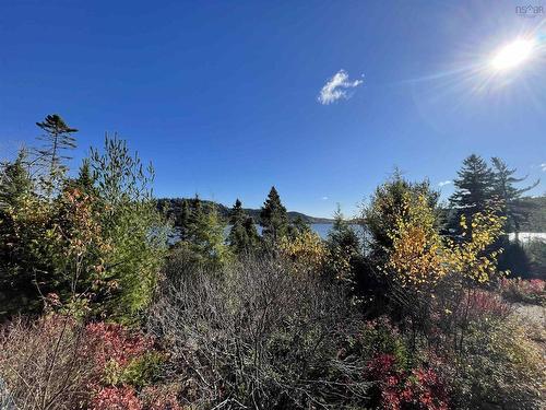 Firebrand Island, Musquodoboit Harbour, NS 