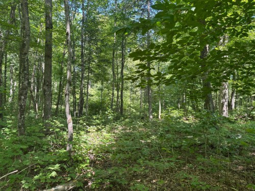 Lot - Ch. Du Plateau, Harrington, QC 