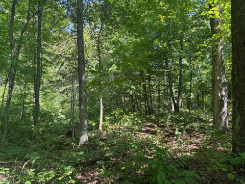 Lot - Ch. Du Plateau, Harrington, QC 