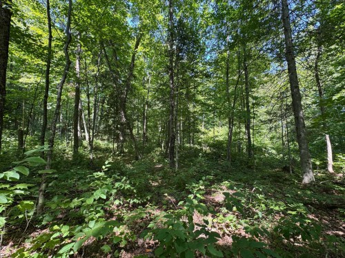 Lot - Ch. Du Plateau, Harrington, QC 