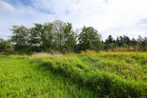 Lot 6 Comox Rd, Comox, BC 