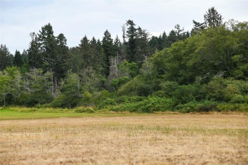 Lot 6 Comox Rd, Comox, BC 