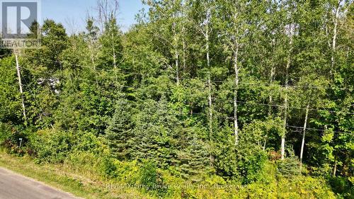 127 Maple Drive, Northern Bruce Peninsula, ON 