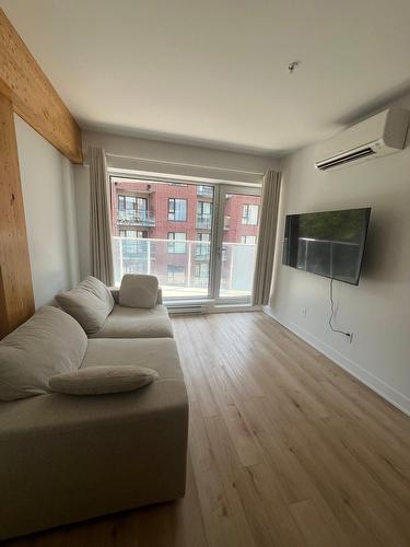 Salon - 612-295 Rue De La Montagne, Montréal (Le Sud-Ouest), QC - Indoor Photo Showing Living Room