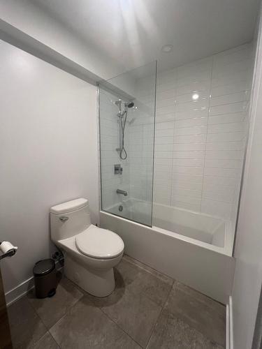 Salle de bains - 612-295 Rue De La Montagne, Montréal (Le Sud-Ouest), QC - Indoor Photo Showing Bathroom