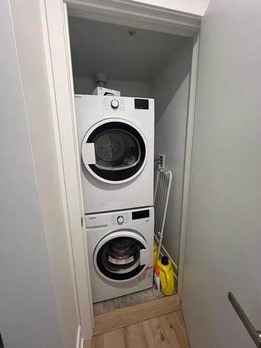 Autre - 612-295 Rue De La Montagne, Montréal (Le Sud-Ouest), QC - Indoor Photo Showing Laundry Room