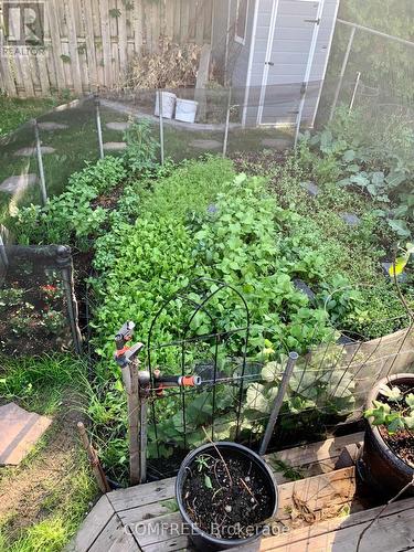 152 Twyford Street, Ottawa, ON - Outdoor